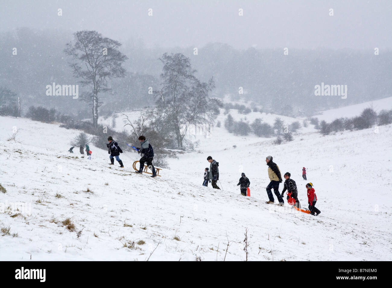 Tormenta de invierno - Tring Park - Hertfordshire Foto de stock