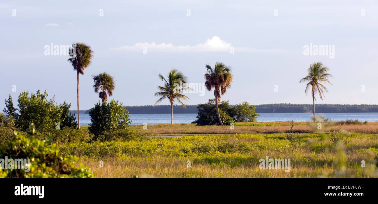 Estación de Guardabosques flamingo Everglades de Florida Foto de stock