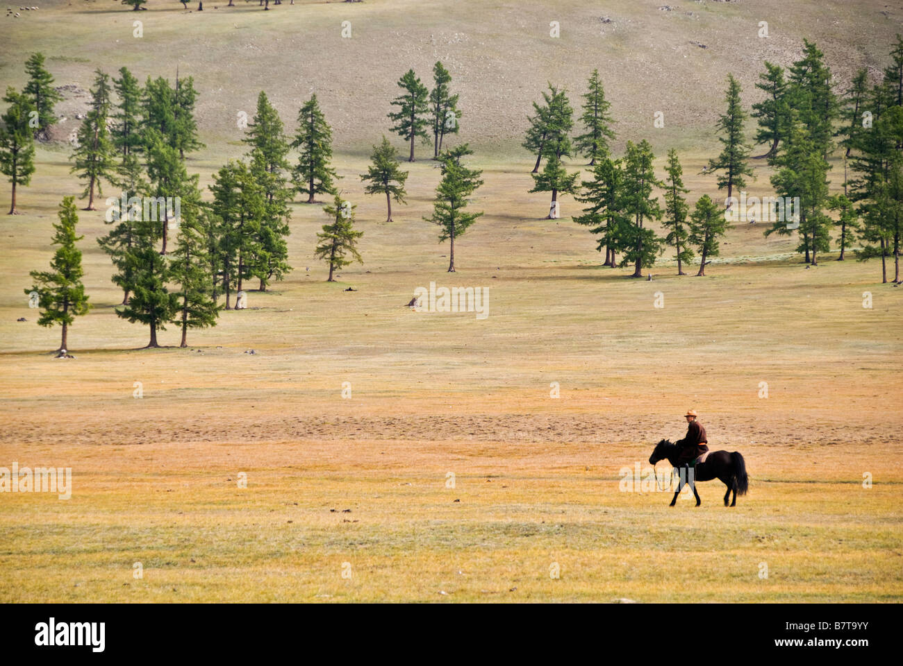 A caballo mongol, lago Khovsgol nuur, Mongolia. Foto de stock
