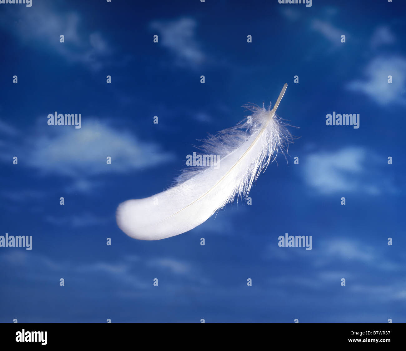 Feather flotando contra el cielo Foto de stock