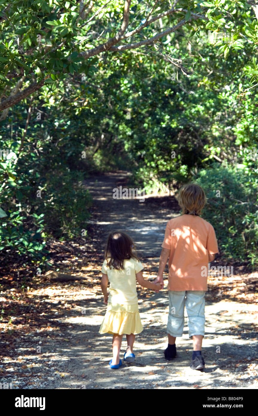 Caminar en las zonas tropicales de Florida Foto de stock