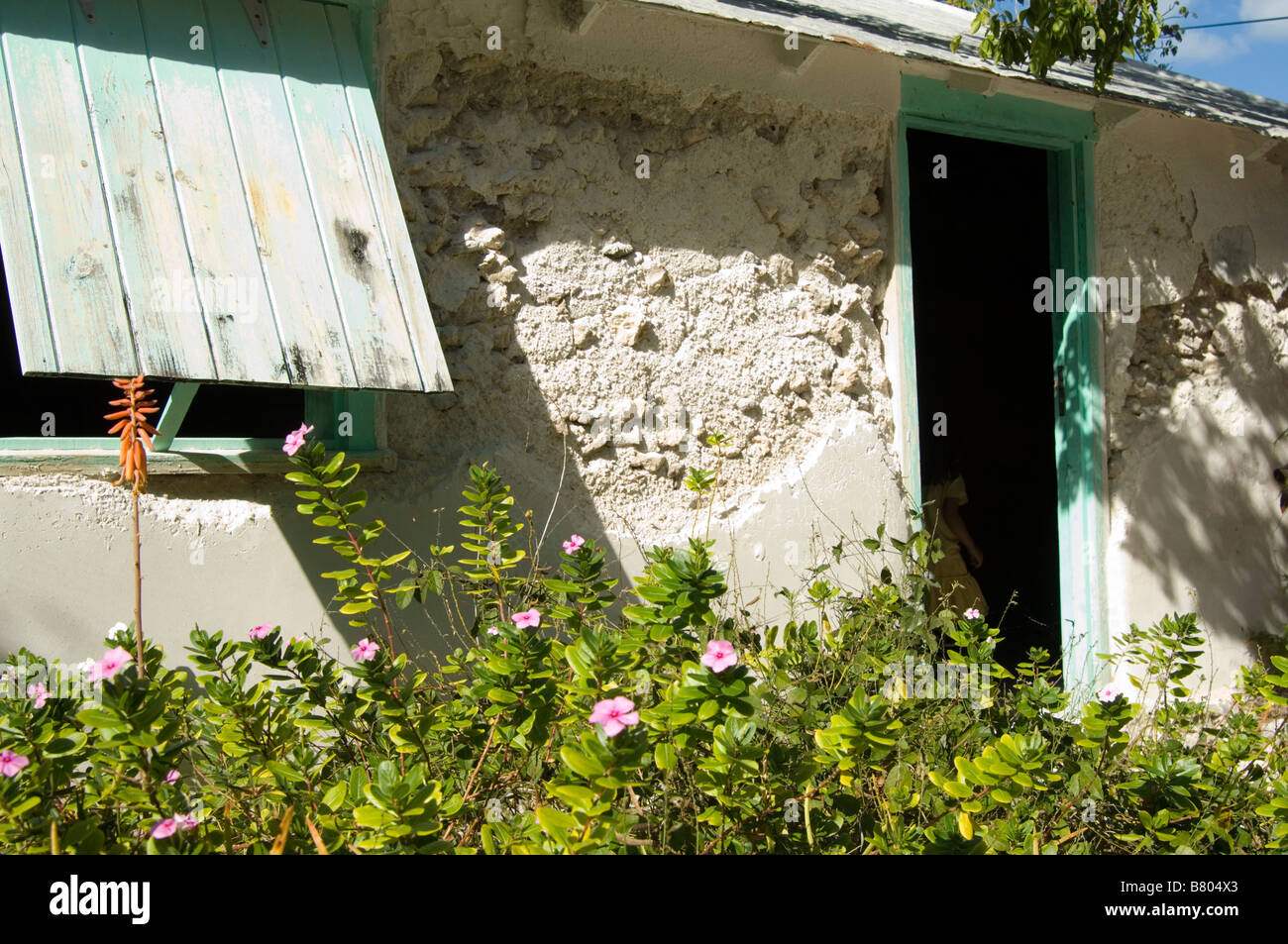 Barro y puerta delantera de espárrago en Florida Foto de stock