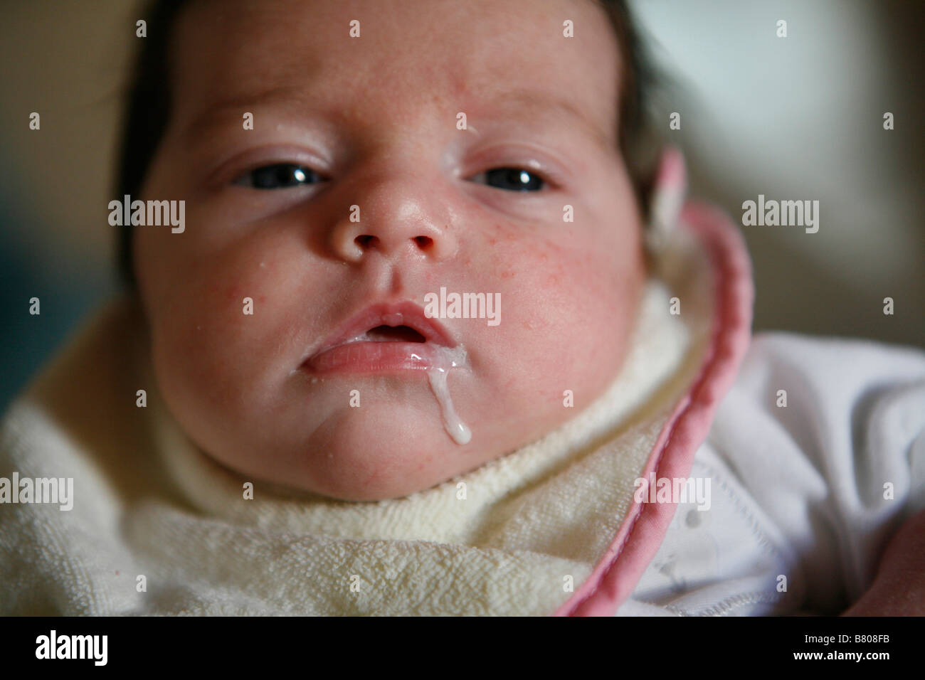 Un bebé escurre la leche de su boca Foto de stock