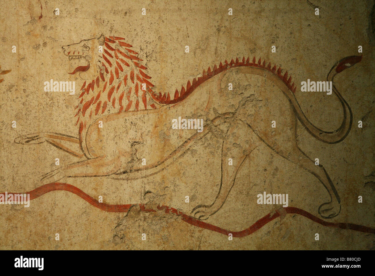 Lion. Pintura tumba romana en el museo arqueológico de Paestum, Italia. Foto de stock