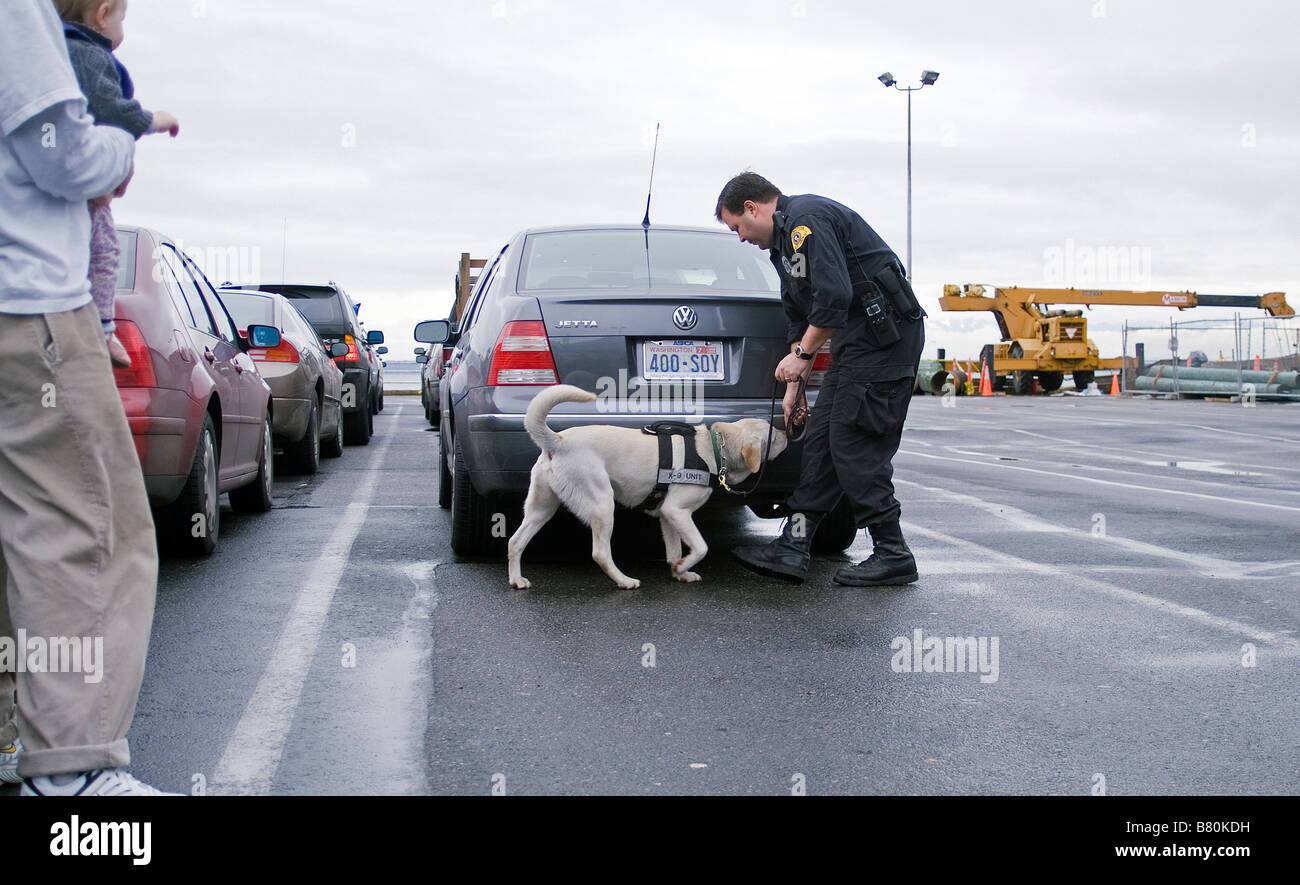 K-9 controlador, con bomba-sniffing perro, selección de vehículos en una terminal de ferry. Foto de stock