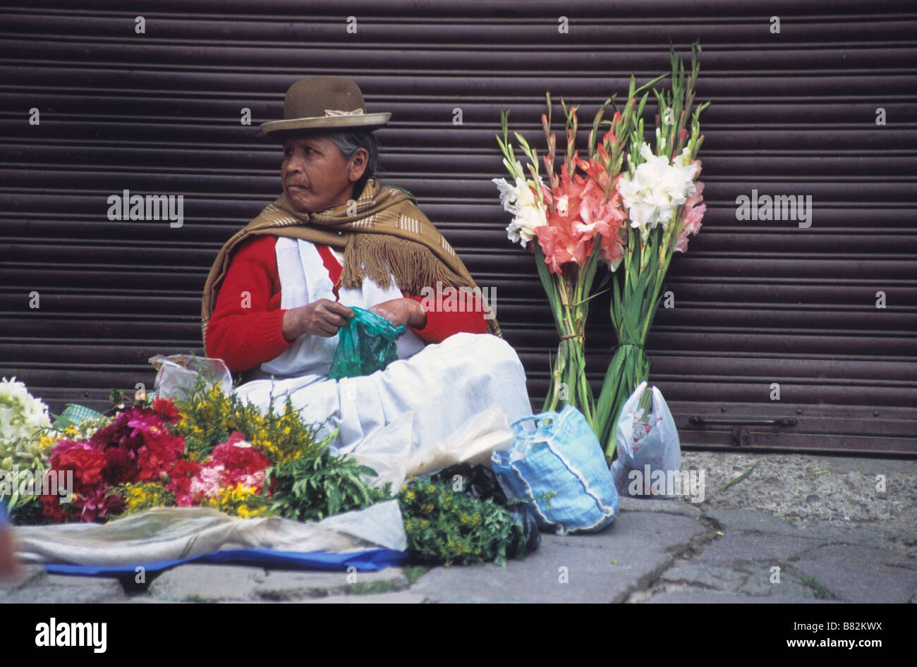 Señora Cholita aymara o masticar las hojas de coca y la venta de flores en la calle del mercado