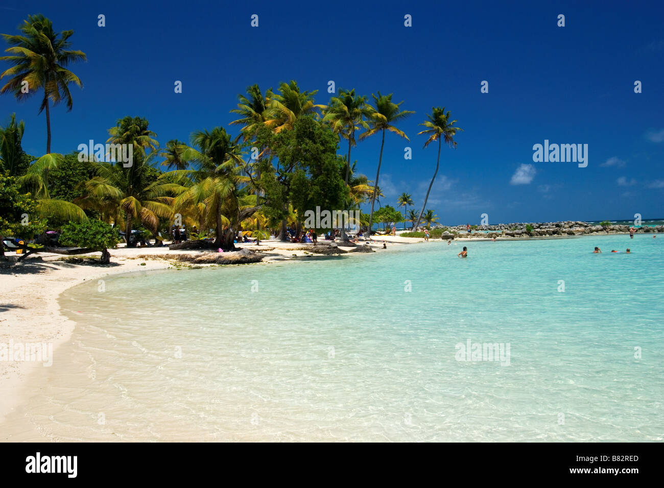 Guadalupe Antillas Francesas del Caribe Sainte Anne, playa, playa Paraíso, la isla, de arena blanca, palmeras, el cielo azul, Foto de stock