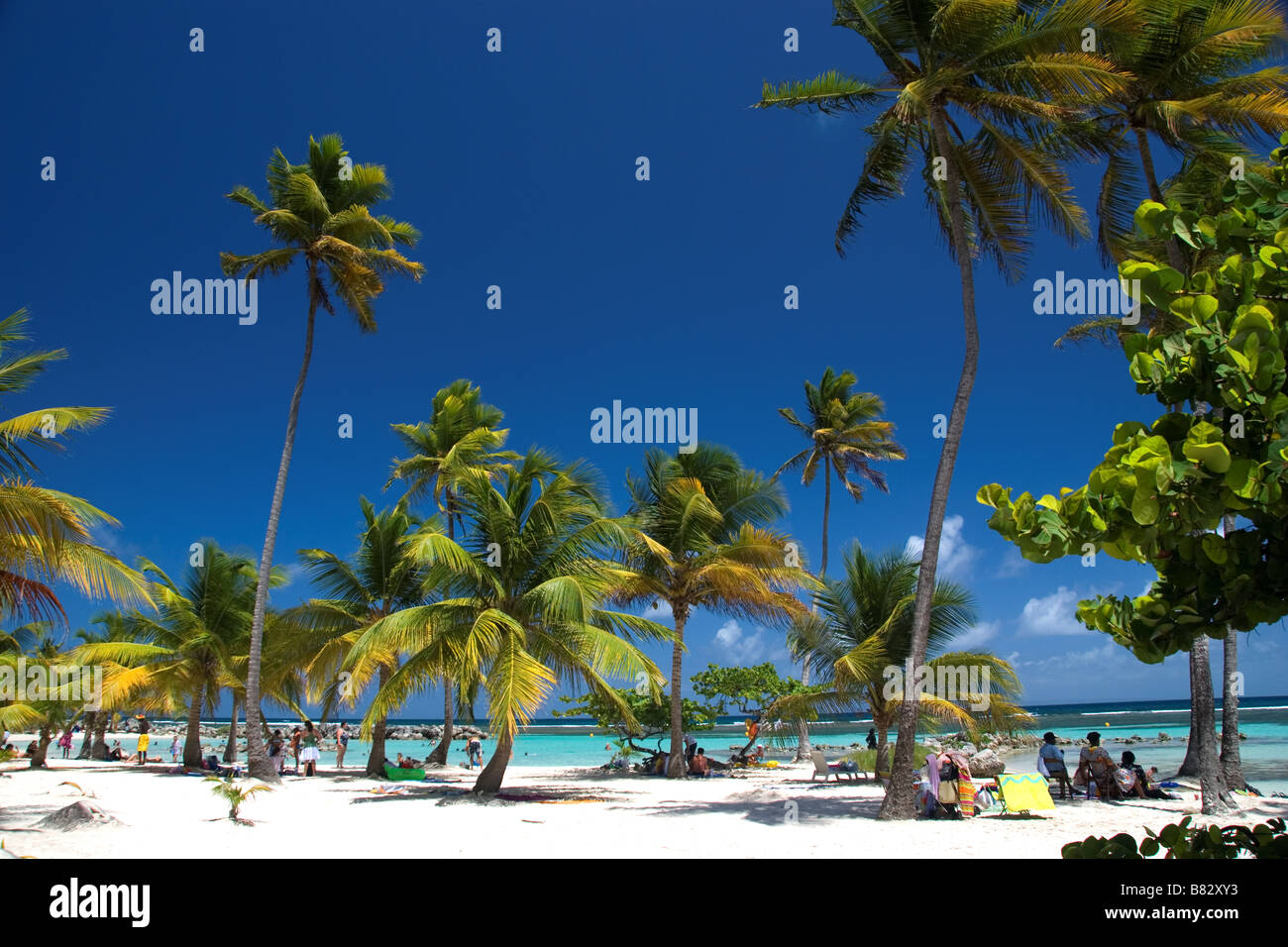 Guadalupe Antillas Francesas del Caribe Sainte Anne, playa de arena blanca, palmeras, relajarse, isla paraíso, cielo azul, vacaciones Foto de stock