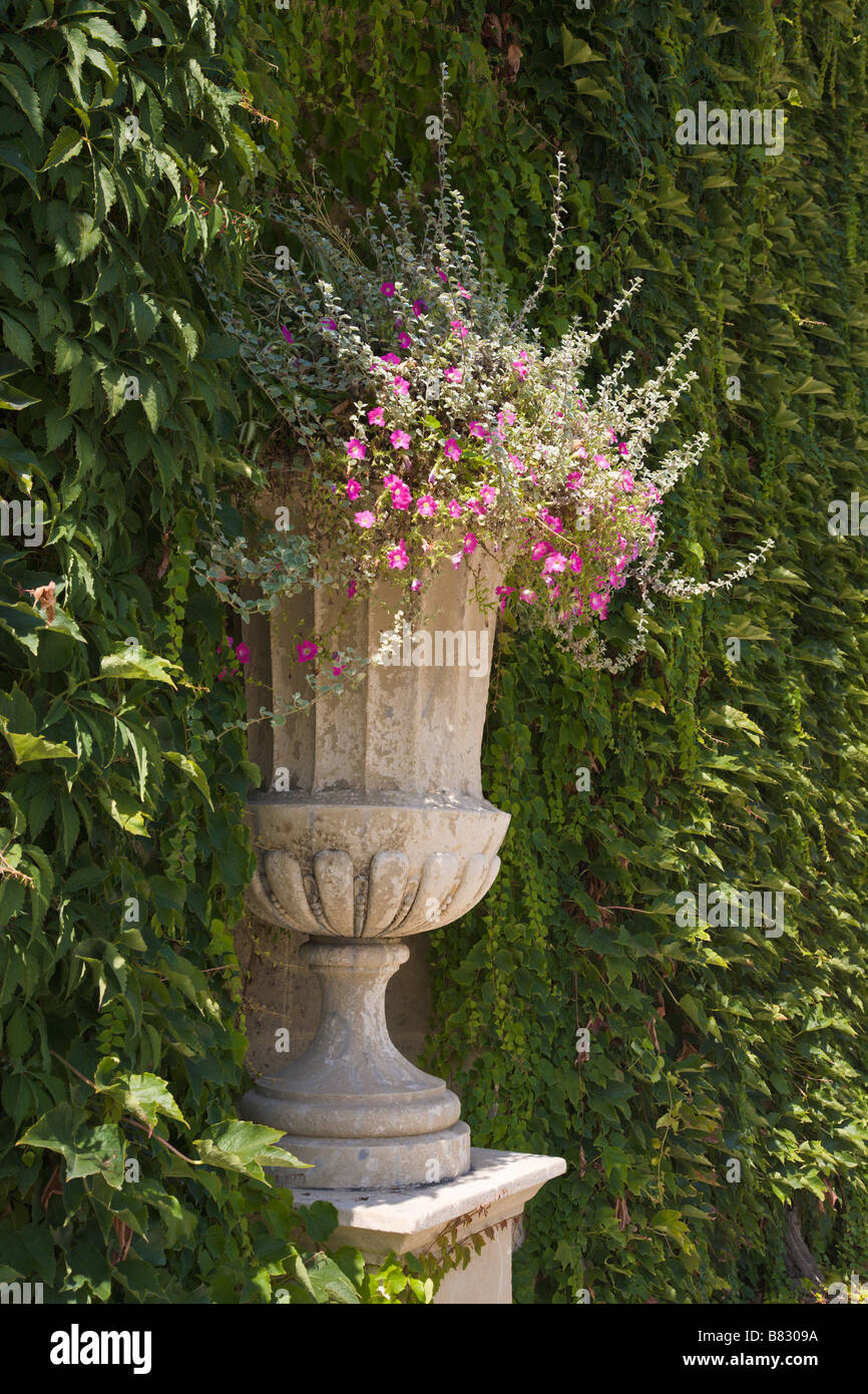 Urna de piedra llenas de flores de verano Foto de stock