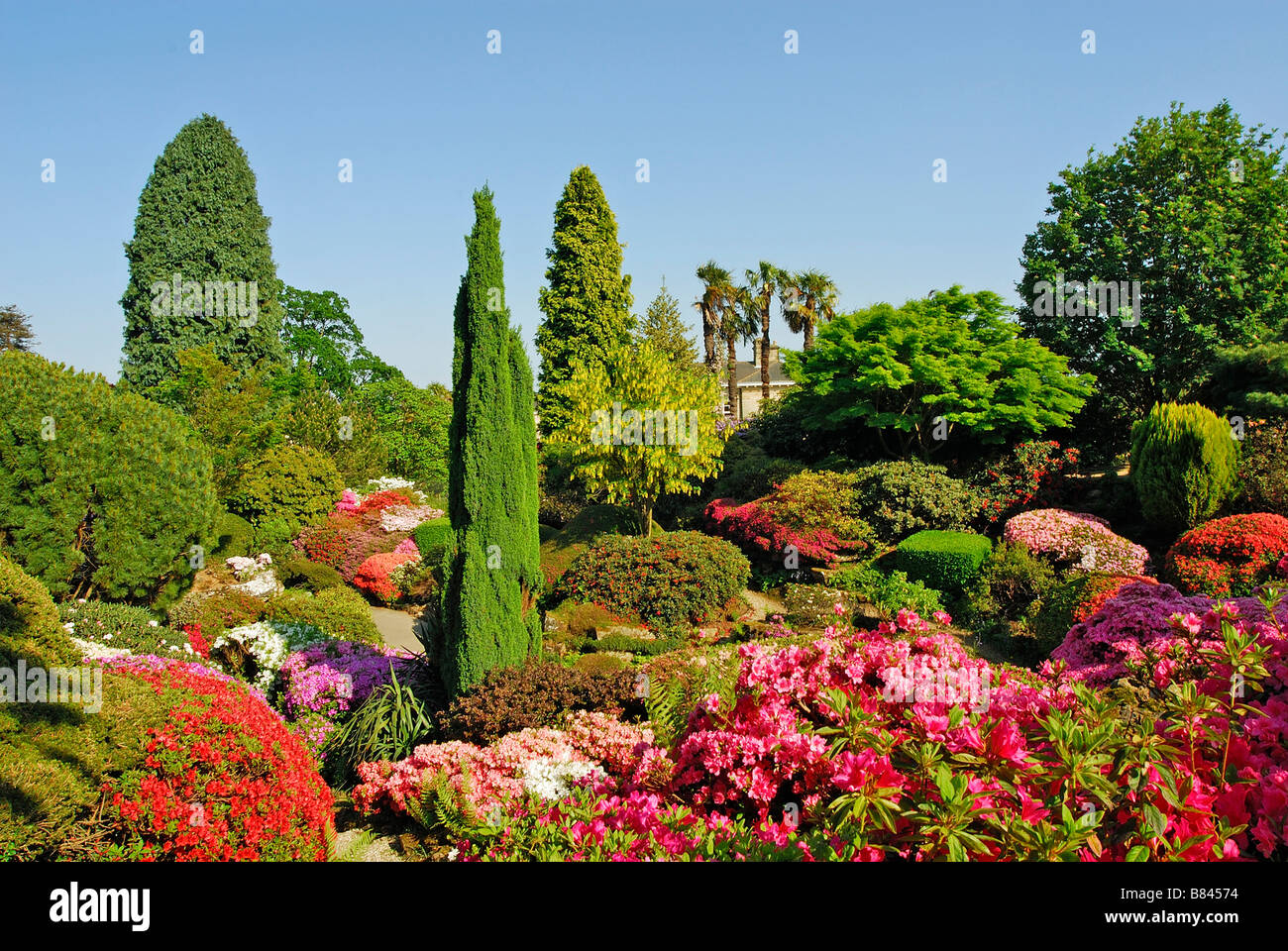 Jardín Leonardslee Sussex, UK Foto de stock