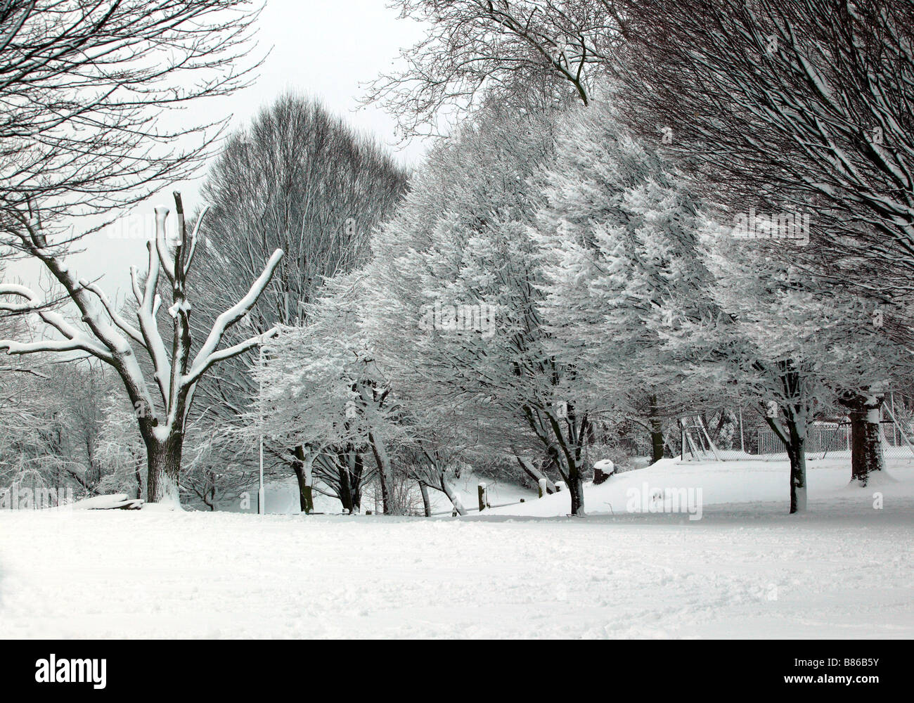 Hermoso parque snowscape en campos montañosos, Lewisham Foto de stock
