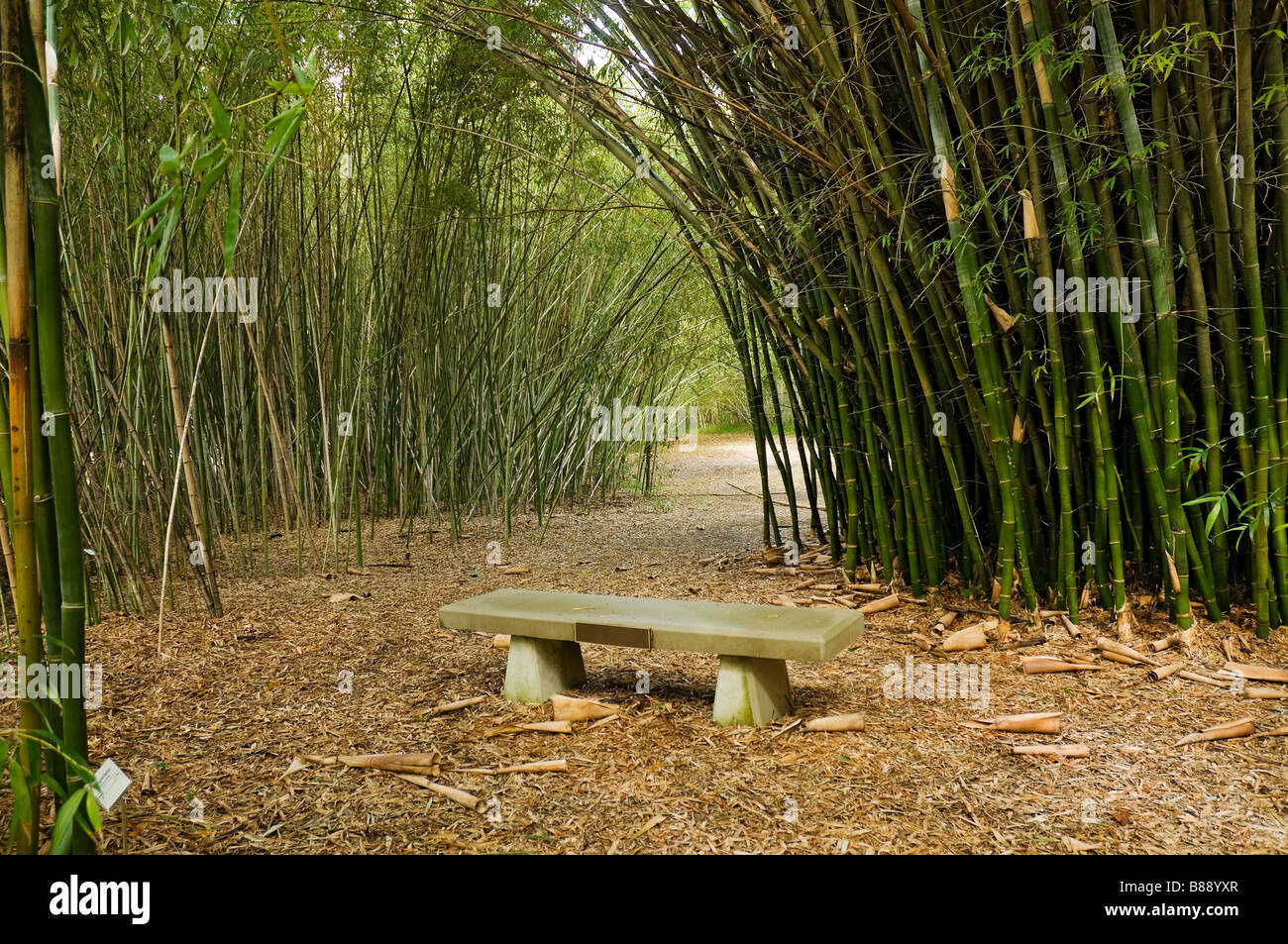 Mancha de jardin de america fotografías e imágenes de alta resolución