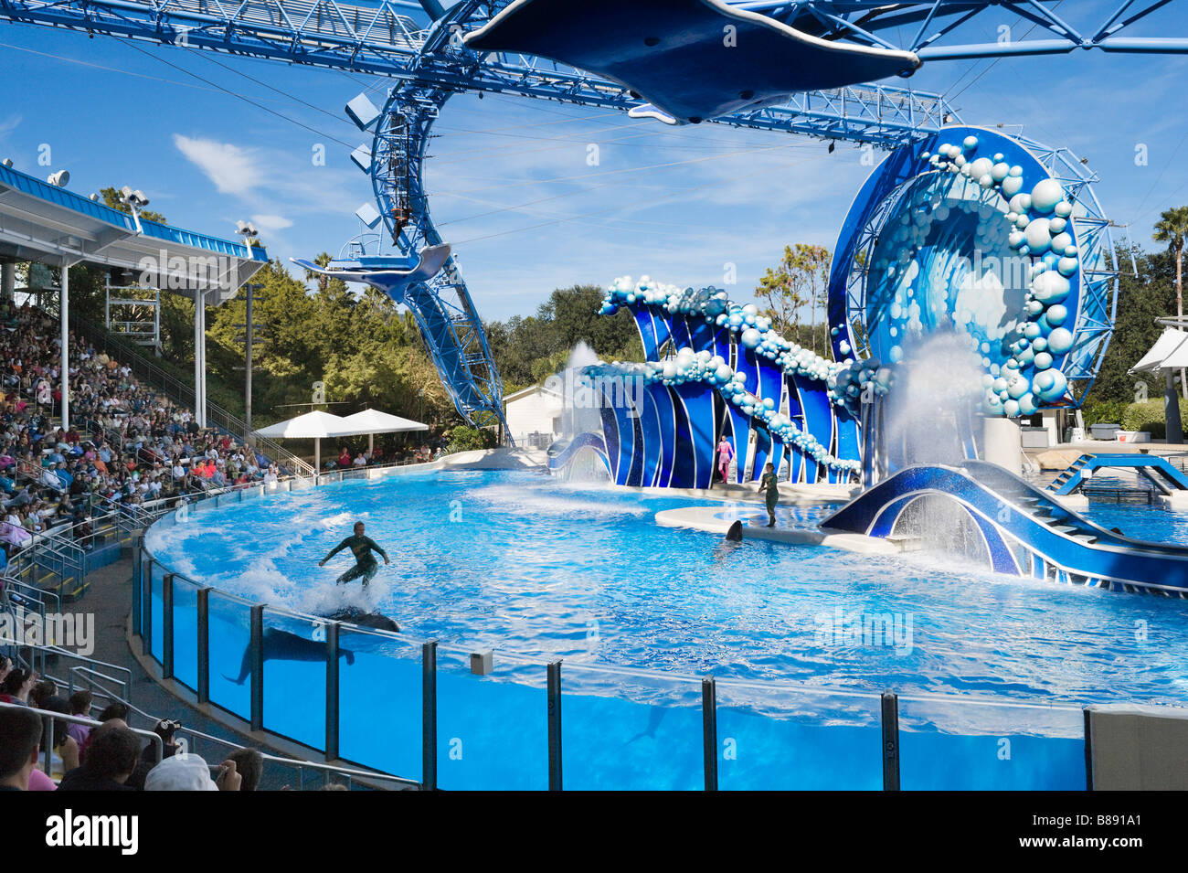 Show de Delfines y ballenas en Sea World, Orlando, Florida, EE.UU. Foto de stock