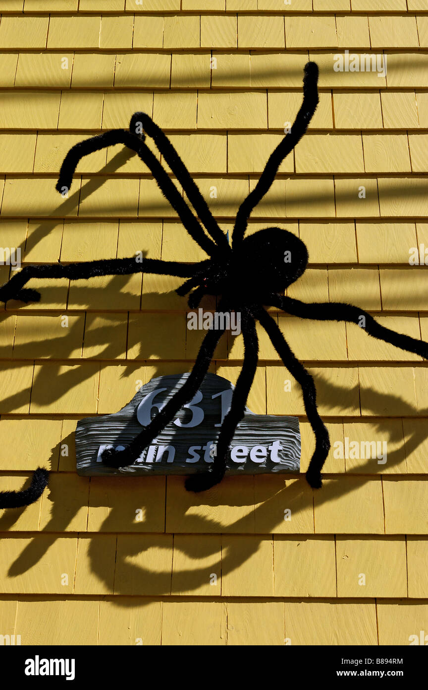 Grandes arañas furry en el exterior de una casa como decoración de Halloween Foto de stock