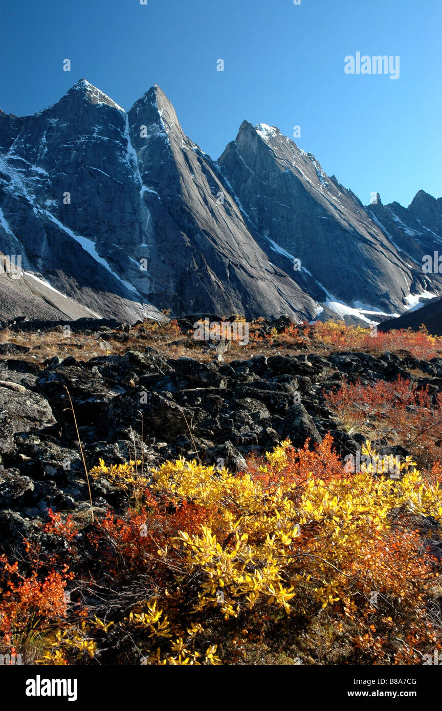 Picos Arrigetch Brooks Portones del Parque Nacional Ártico de Alaska Foto de stock