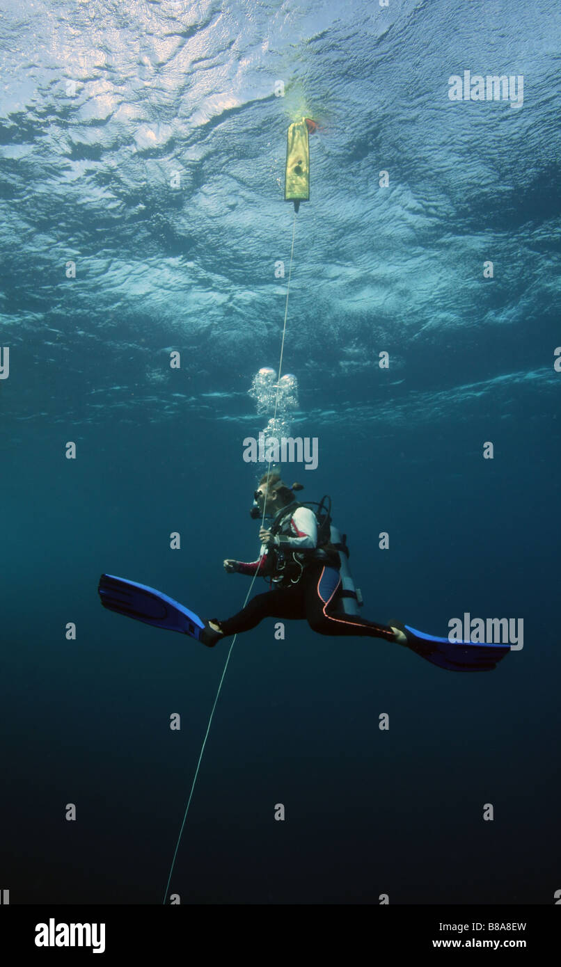 Diver sobre un tope de seguridad Foto de stock