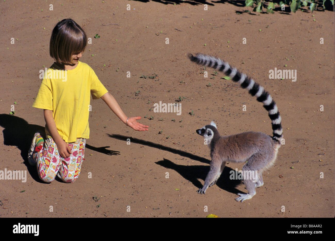Chica europea, de 7 años, y un anillo-tail, lemur Lemur catta, cerca de Fort Dauphin, en el sudeste de Madagascar Foto de stock