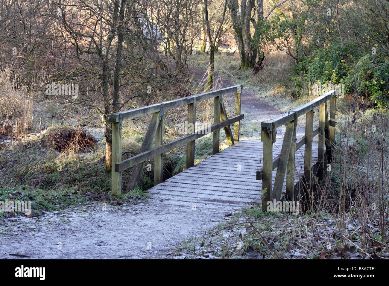 Camino Semple Trail sobre un puente peatonal de madera en invierno, Parkhill Woods, Clyde Muirshiel Regional Park, Lochwinnoch, Renfrewshire, Escocia, Reino Unido Foto de stock