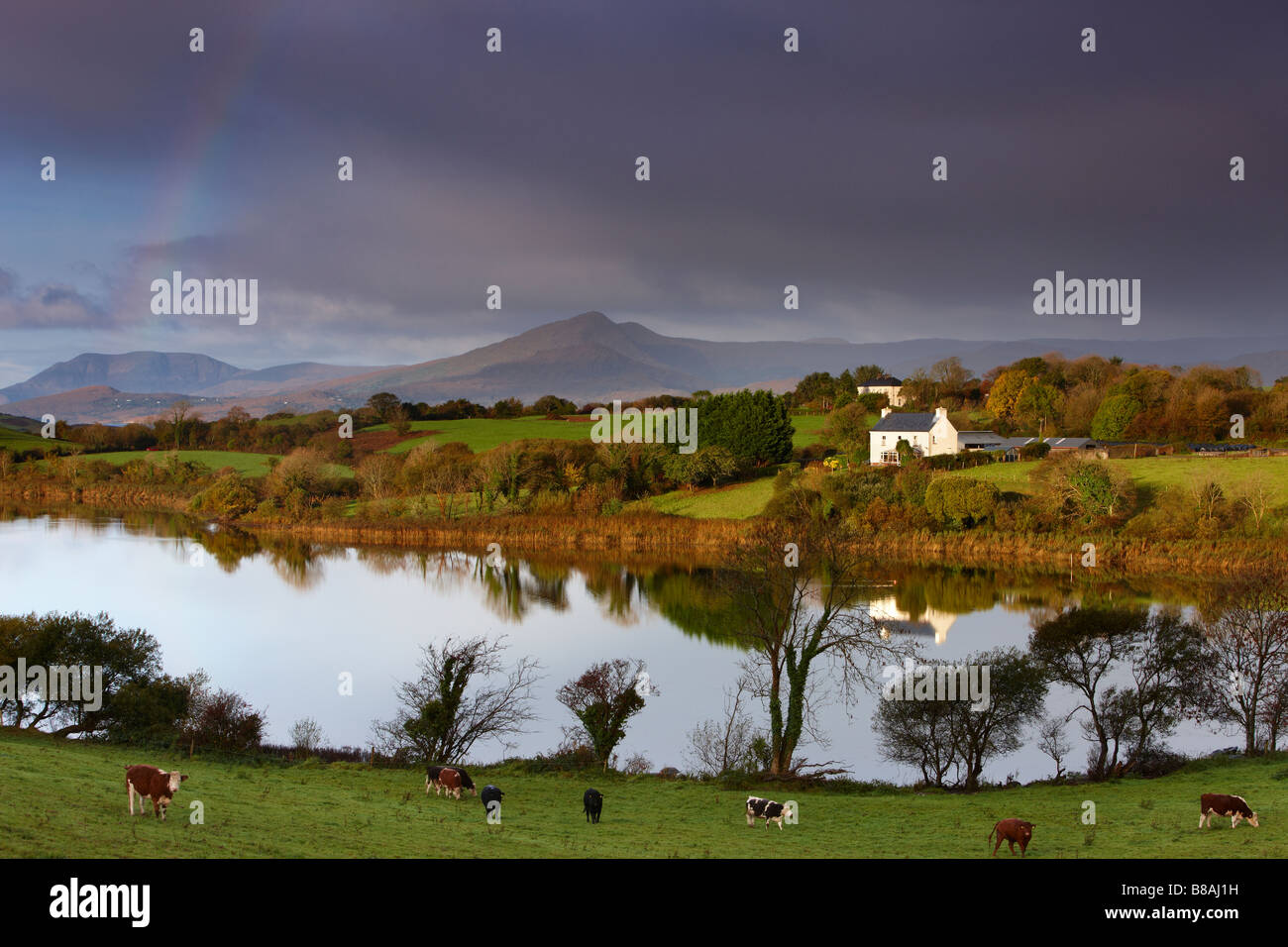 Amanecer en la Bahía de Bantry, con un arco iris nr Bantry, Condado de Cork, Irlanda Foto de stock
