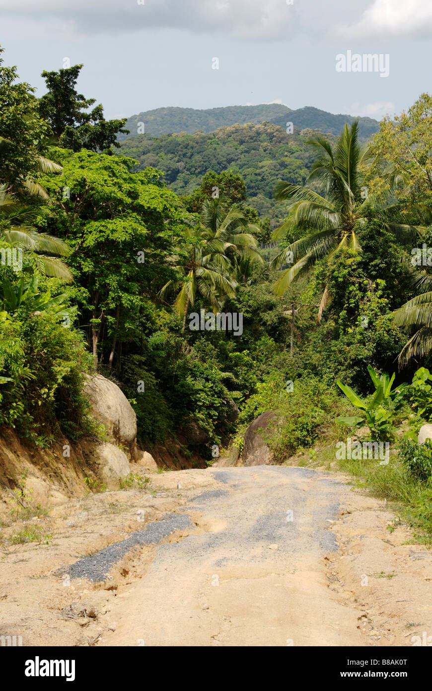 Sin pavimentar camino de tierra que cruza la isla de Koh Pangan Tailandia Foto de stock
