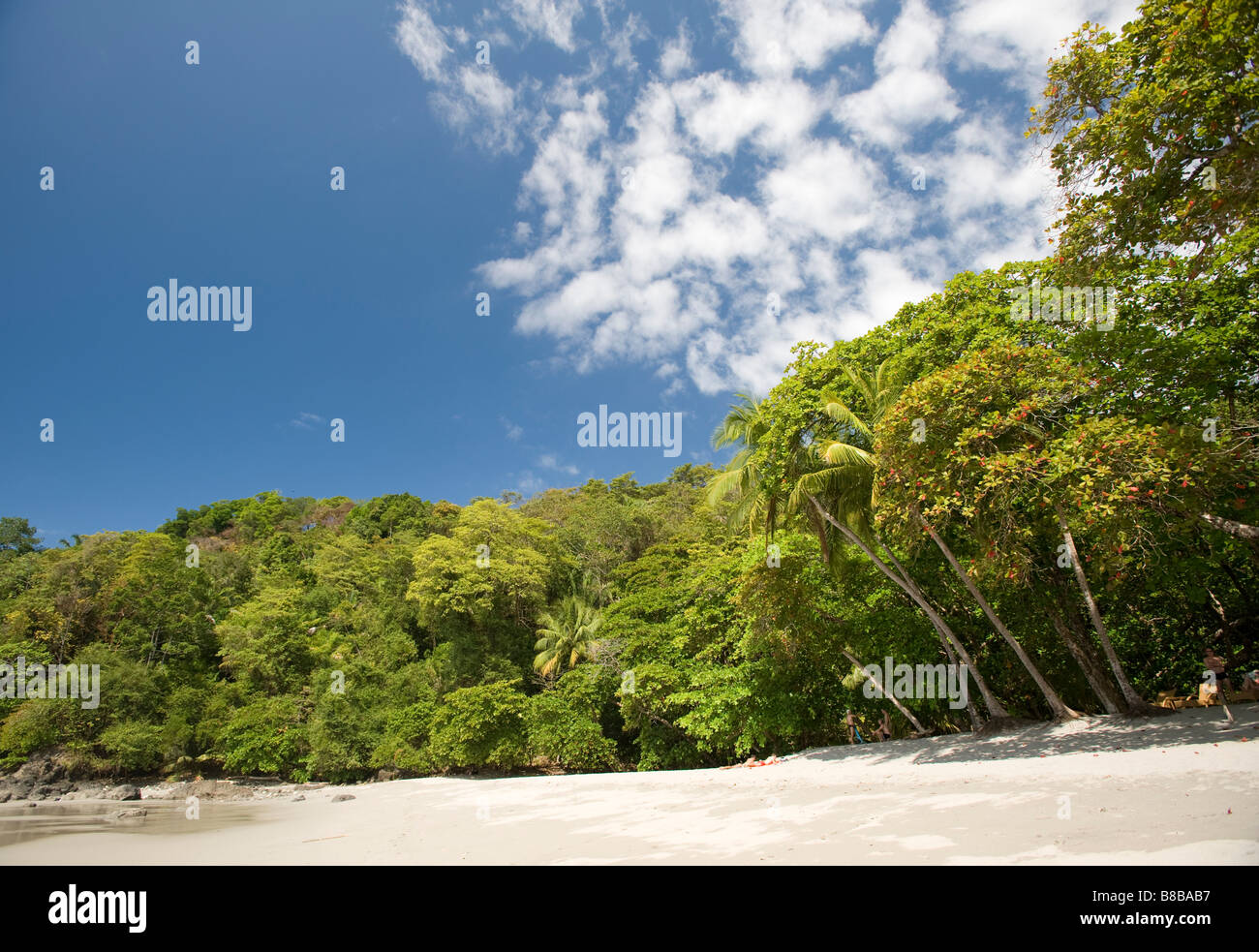 Quepos costa rica fotografías e imágenes de alta resolución Alamy