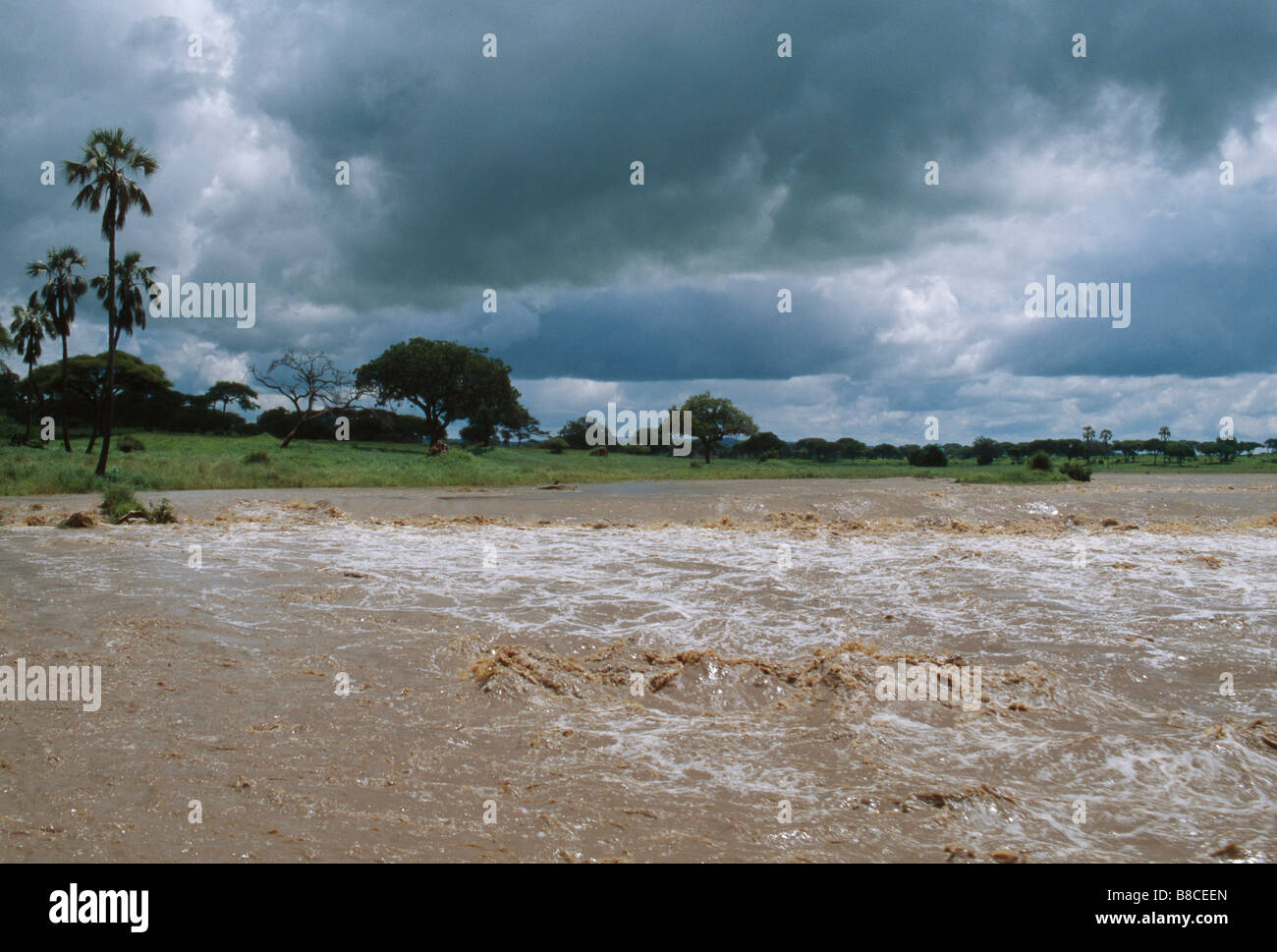 TARANGIRE en Flood Foto de stock