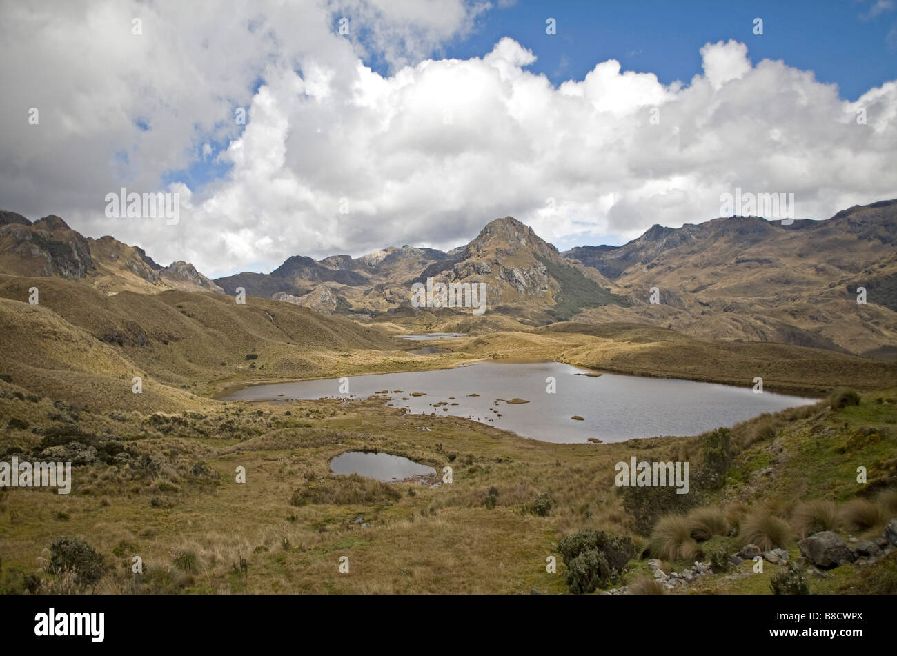 Vista panorámica del paisaje del Parque Nacional Cajas (Parque Nacional )  cerca de Cuenca provincia del Azuay Ecuador Fotografía de stock - Alamy