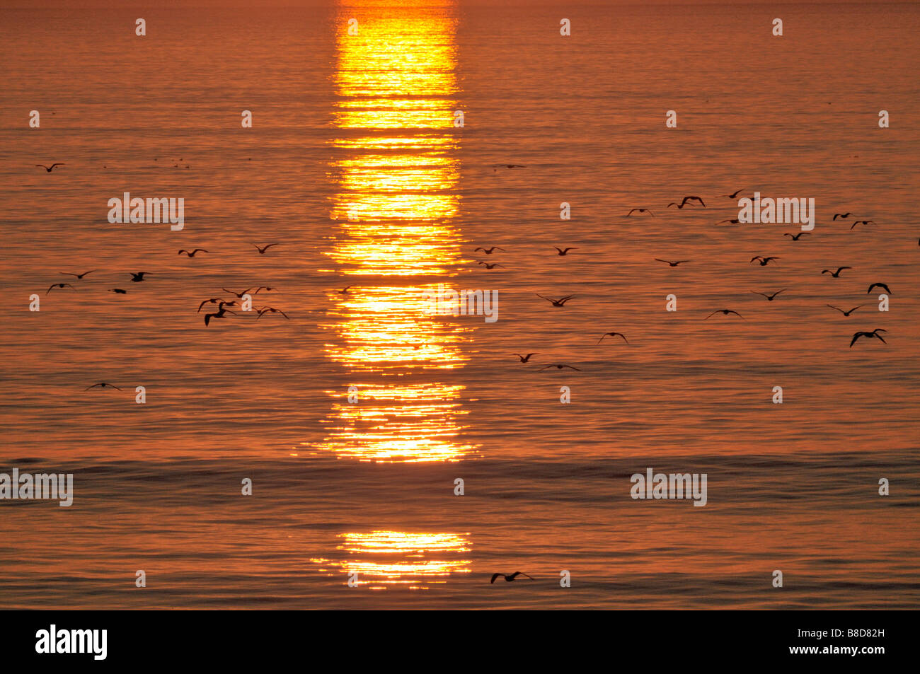 Reflexiones de la puesta del sol sobre la superficie lisa del Océano Pacífico en la Bahía de Santa Monica Foto de stock