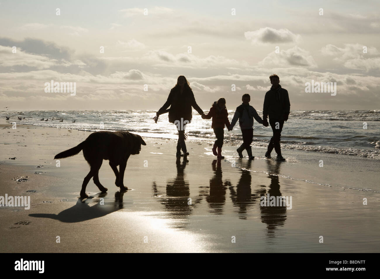 Y el perro de la familia por el mar Fotografía de stock - Alamy