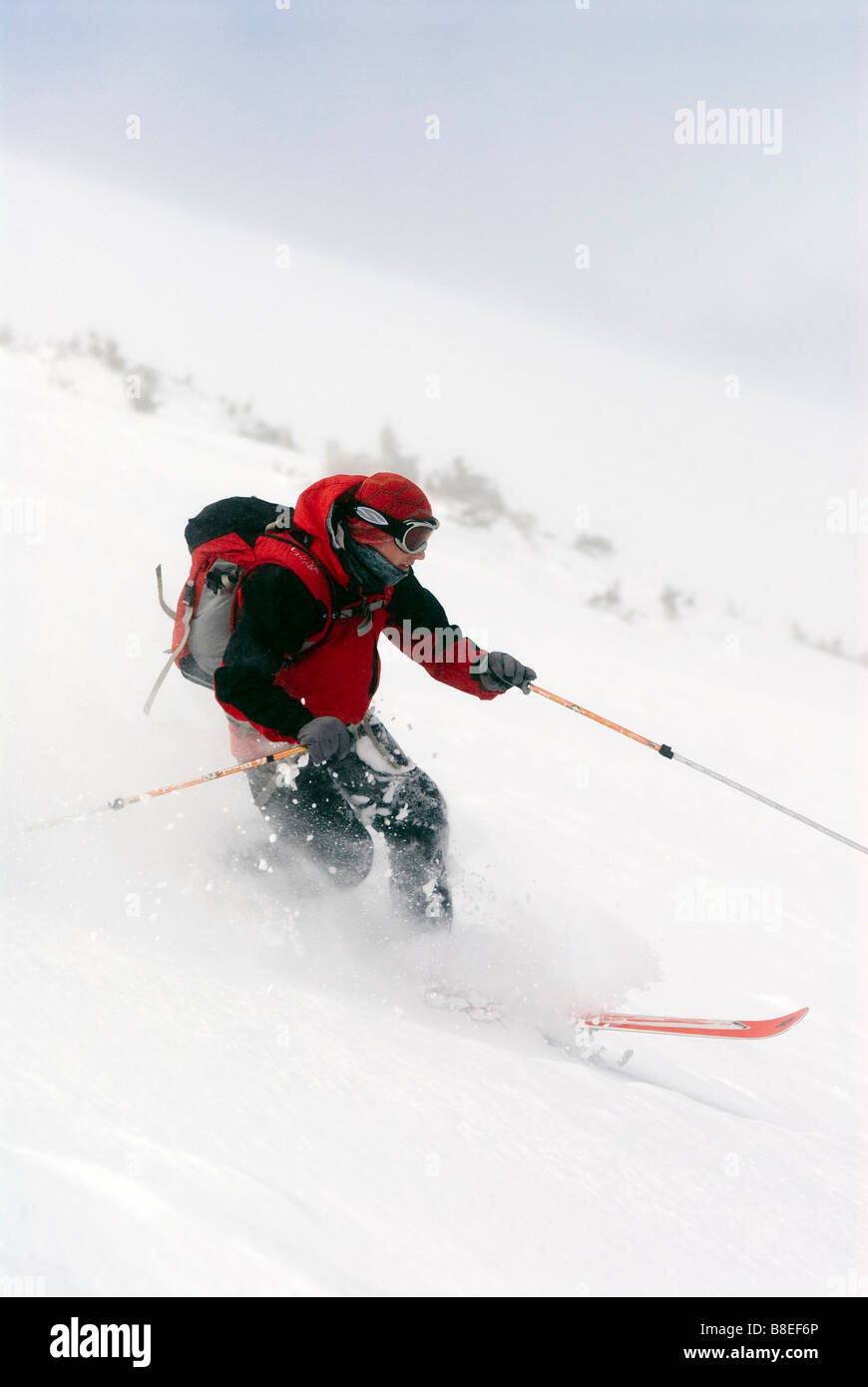El hombre a través de esquí de telemark en polvo en Norte de pico Diamante en Cameron Pass, Colorado Foto de stock