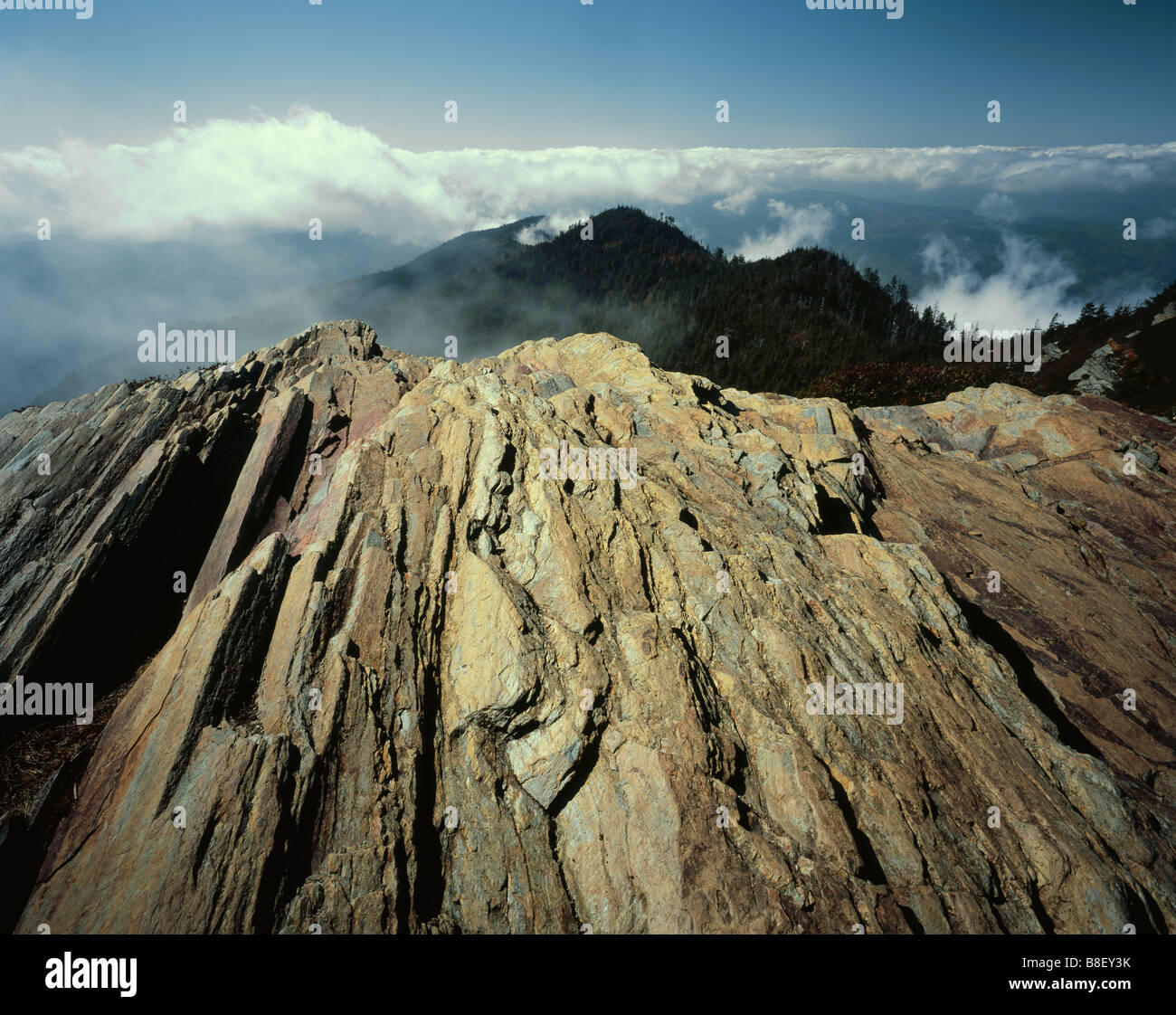 TENNESSEE - rocas expuestas en acantilados en el Great Smoky Mountains National Park. Foto de stock