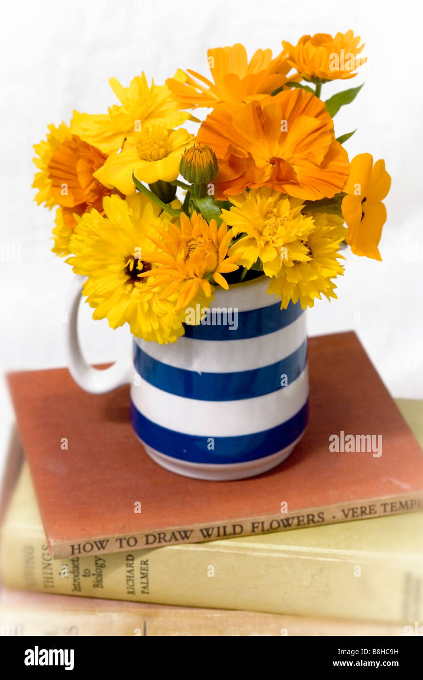 Mezcla de color naranja y amarillo de las flores cortadas en un jarrón azul de Cornualles tradicional Foto de stock