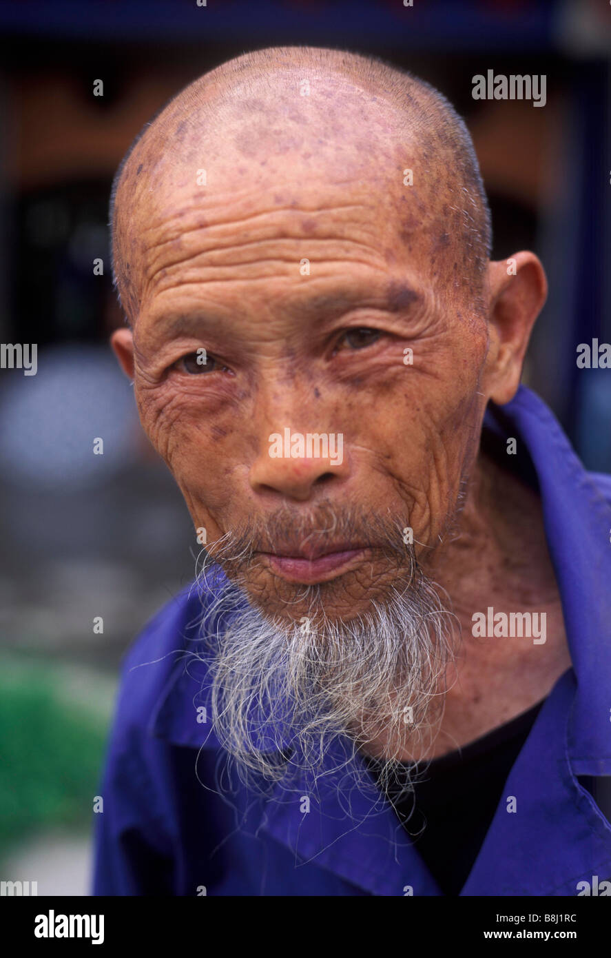 Los ancianos con barba de hombre chino tradicional Fotografía de stock -  Alamy