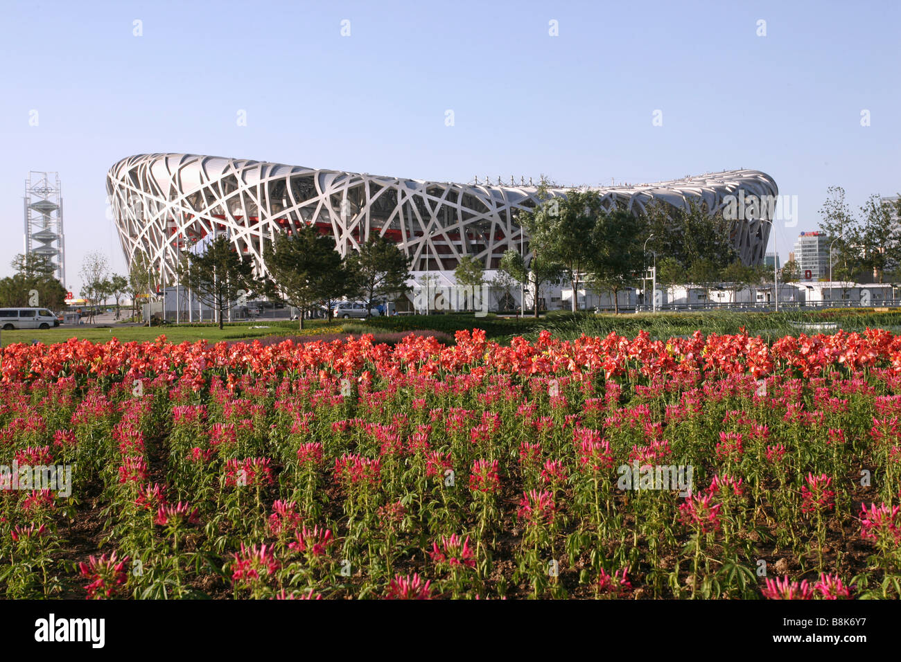 Estadio nacional,Beijing,China Foto de stock