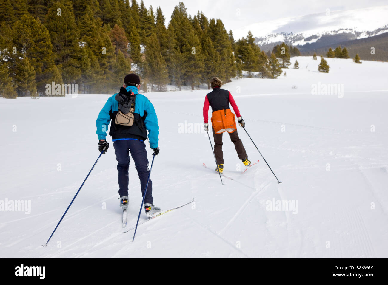 Macho y hembra skate esquiadores a la Tennessee Pass Nordic Centre cerca de  Leadville, Colorado, EE.UU Fotografía de stock - Alamy