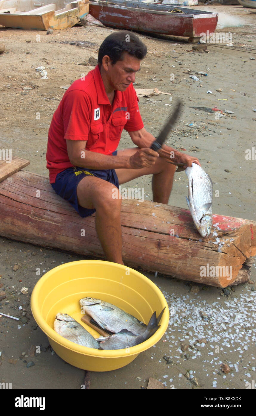 Un pescador cortando un pez en el pueblo pesquero de Tanganga, Colombia Foto de stock