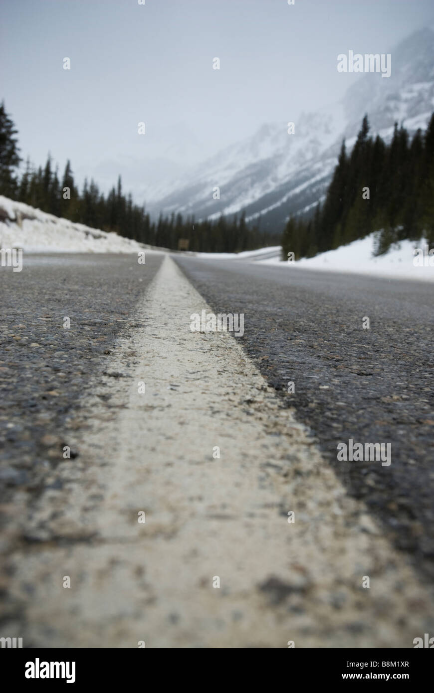 La autopista franja en una carretera a través del Parque Nacional de Banff, Alberta, Canadá. Foto de stock