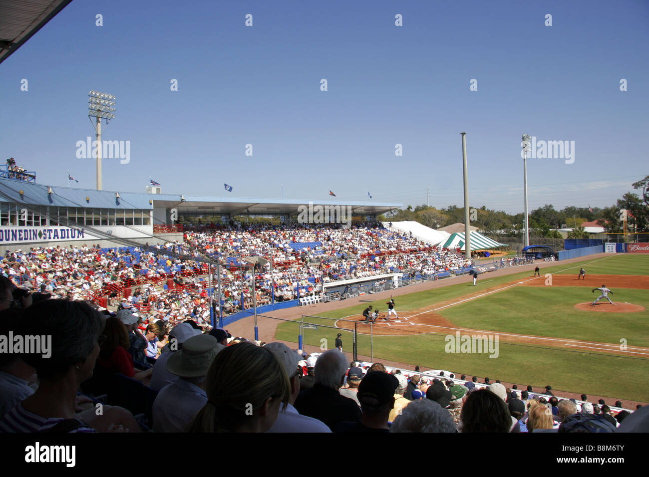 Toronto Blue Jays Jugando Los Detroit Tigers En Dunedin Estadio De Beisbol Florida Usa Fotografia De Stock Alamy Toronto Blue Jays Jugando Los Detroit Tigers En Dunedin Estadio De Beisbol Florida Usa Fotografia De Stock Alamy