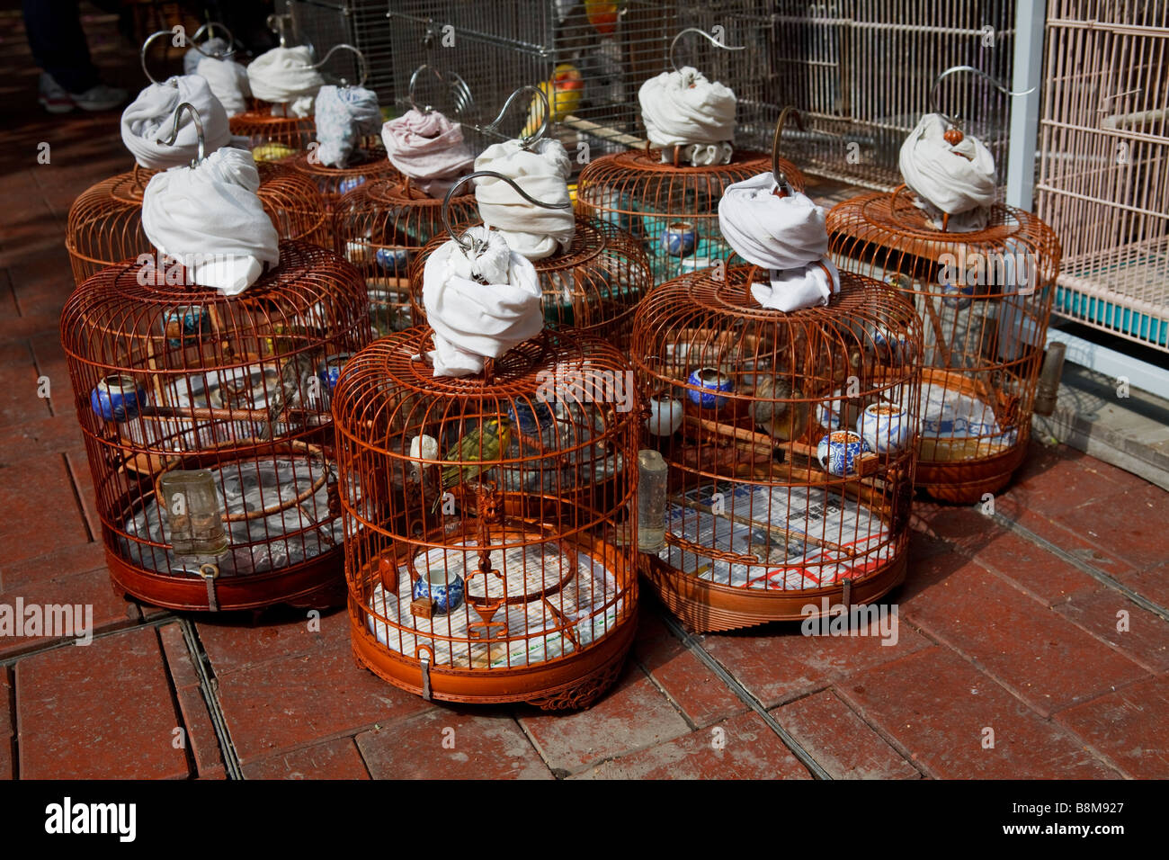 Jaulas de aves decorativas, Hong Kong Fotografía de stock - Alamy