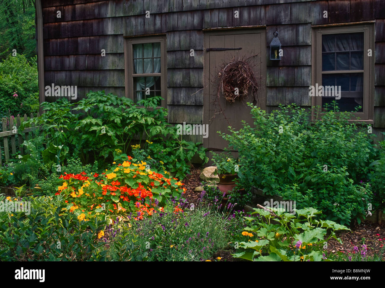 Este estilo Colonial dooryard jardín de hierbas y vegetales