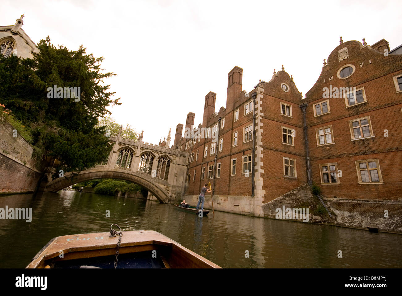 Navegar por el río Cam, Cambridge. Foto de stock