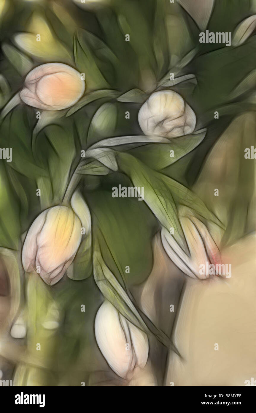 Boceto De Cinco Rosas Ramo Tulipanes rodeada con hojas verdes en un jarrón Foto de stock