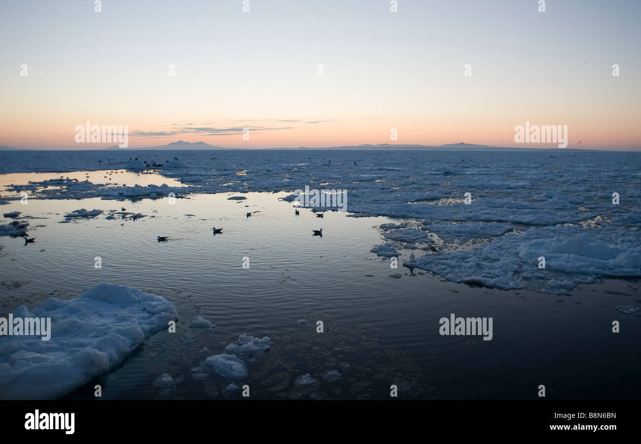 El hielo en el Mar de Ohkotsk con las islas Kuriles en el horizonte Foto de stock