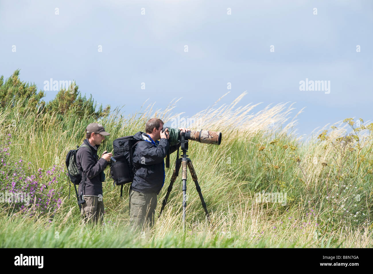 Fotógrafos de aves fotografías e imágenes de alta resolución - Alamy