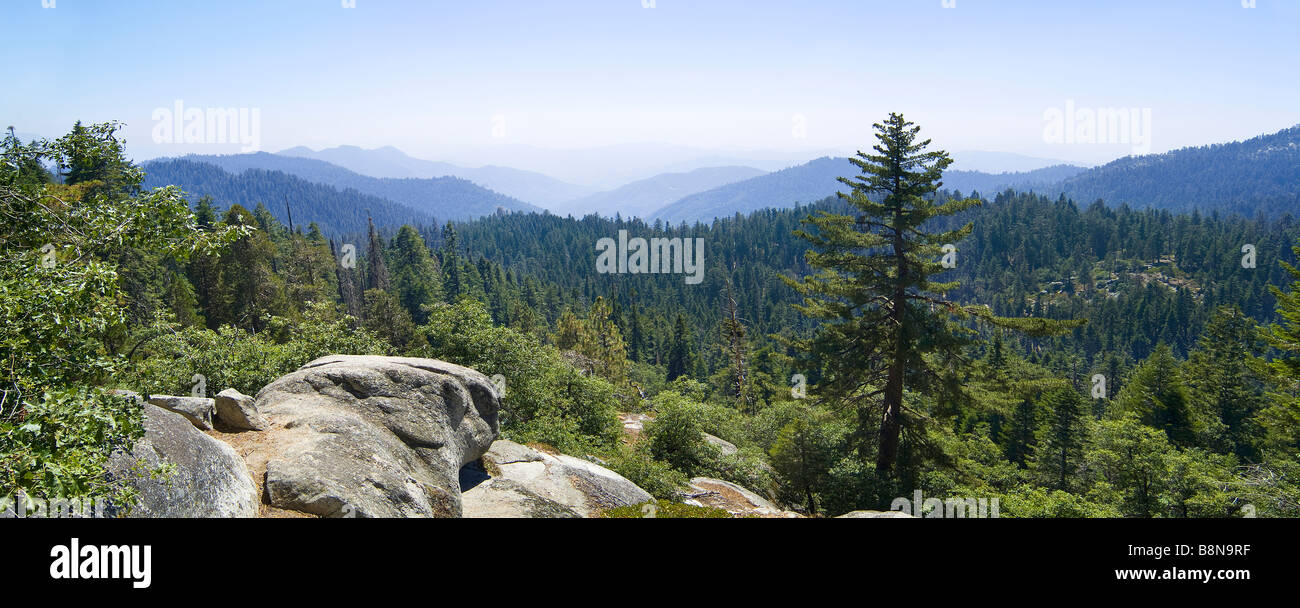 Panorama del Parque Nacional Kings Canyon, California, EE.UU. Foto de stock
