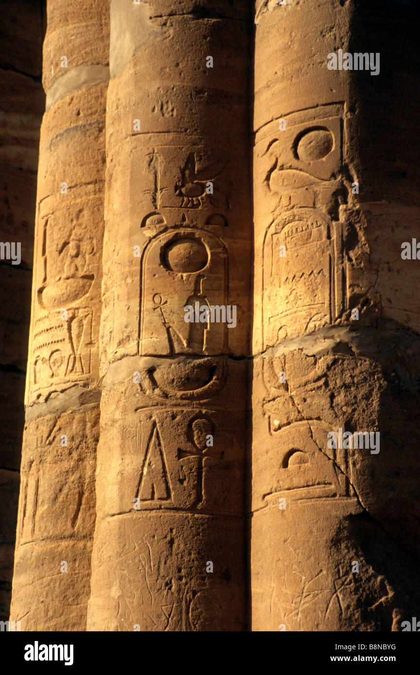 Jeroglíficos tallados en una serie de pilares en las ruinas del viejo Dongola Foto de stock