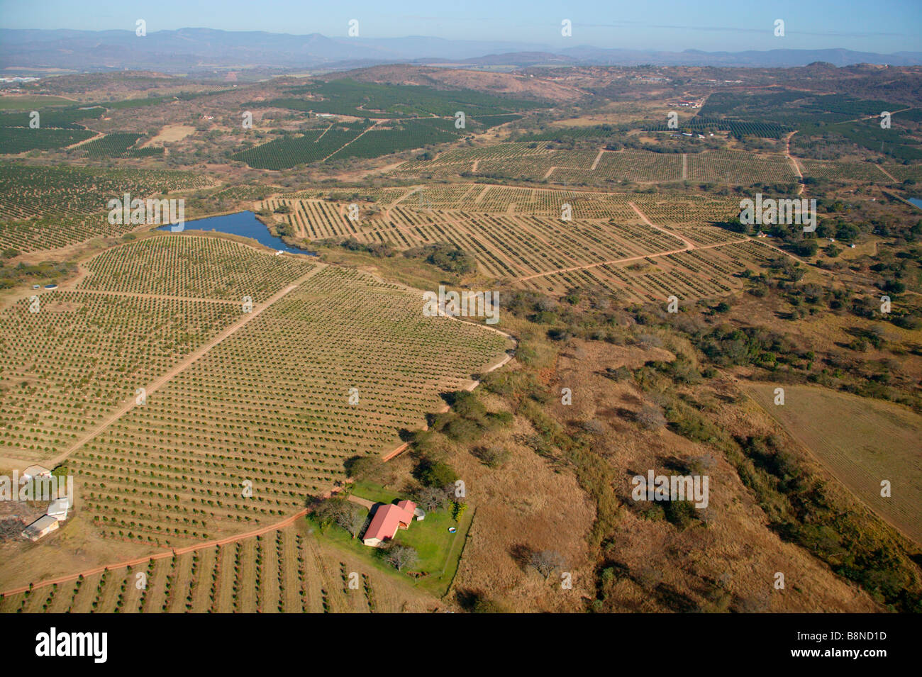 Vista aérea de la Lowveld campo mostrando naranja y litchi huertos Foto de stock