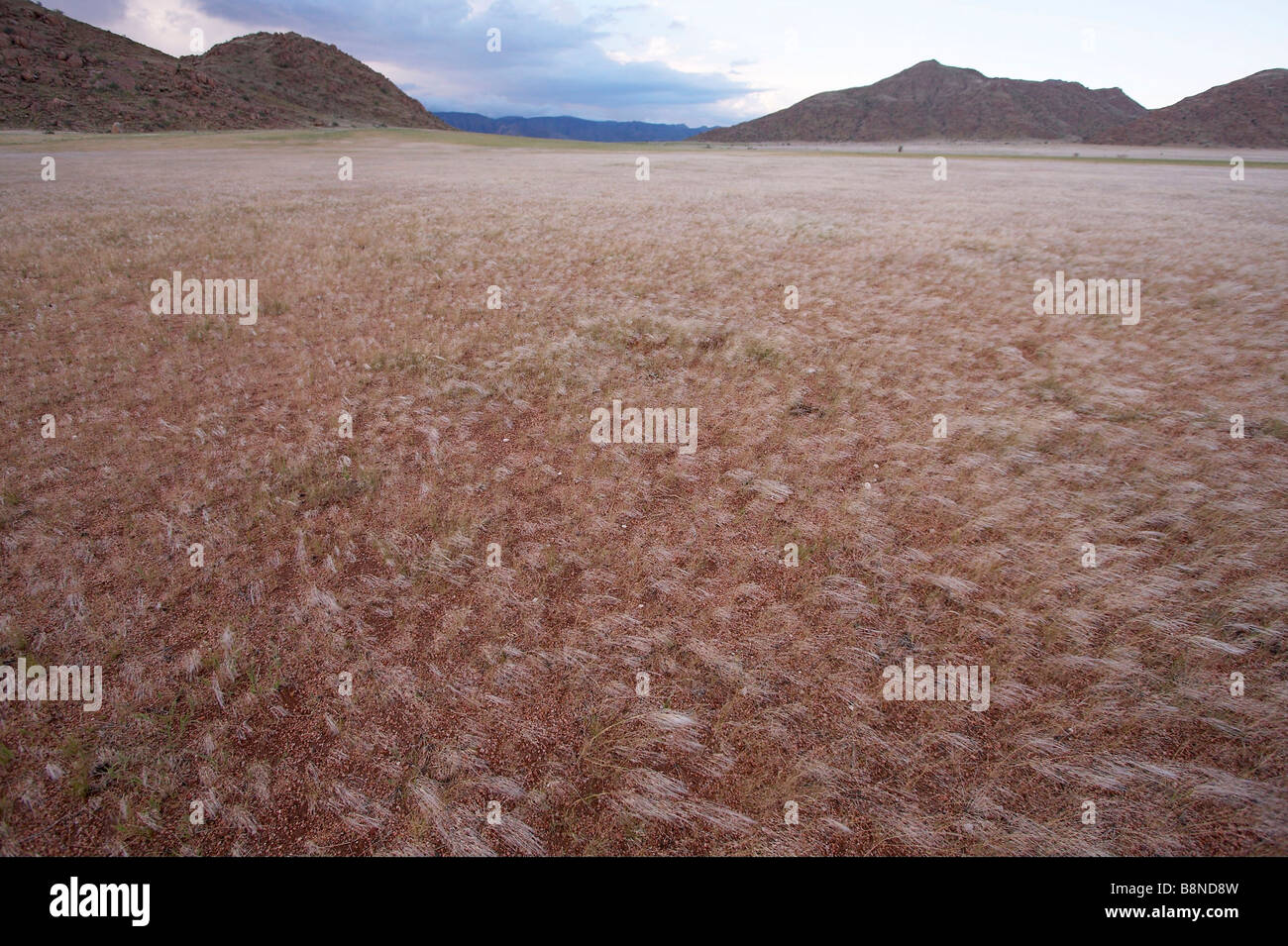Gran angular con paisaje de Namibia veld la hierba y las montañas distantes Foto de stock
