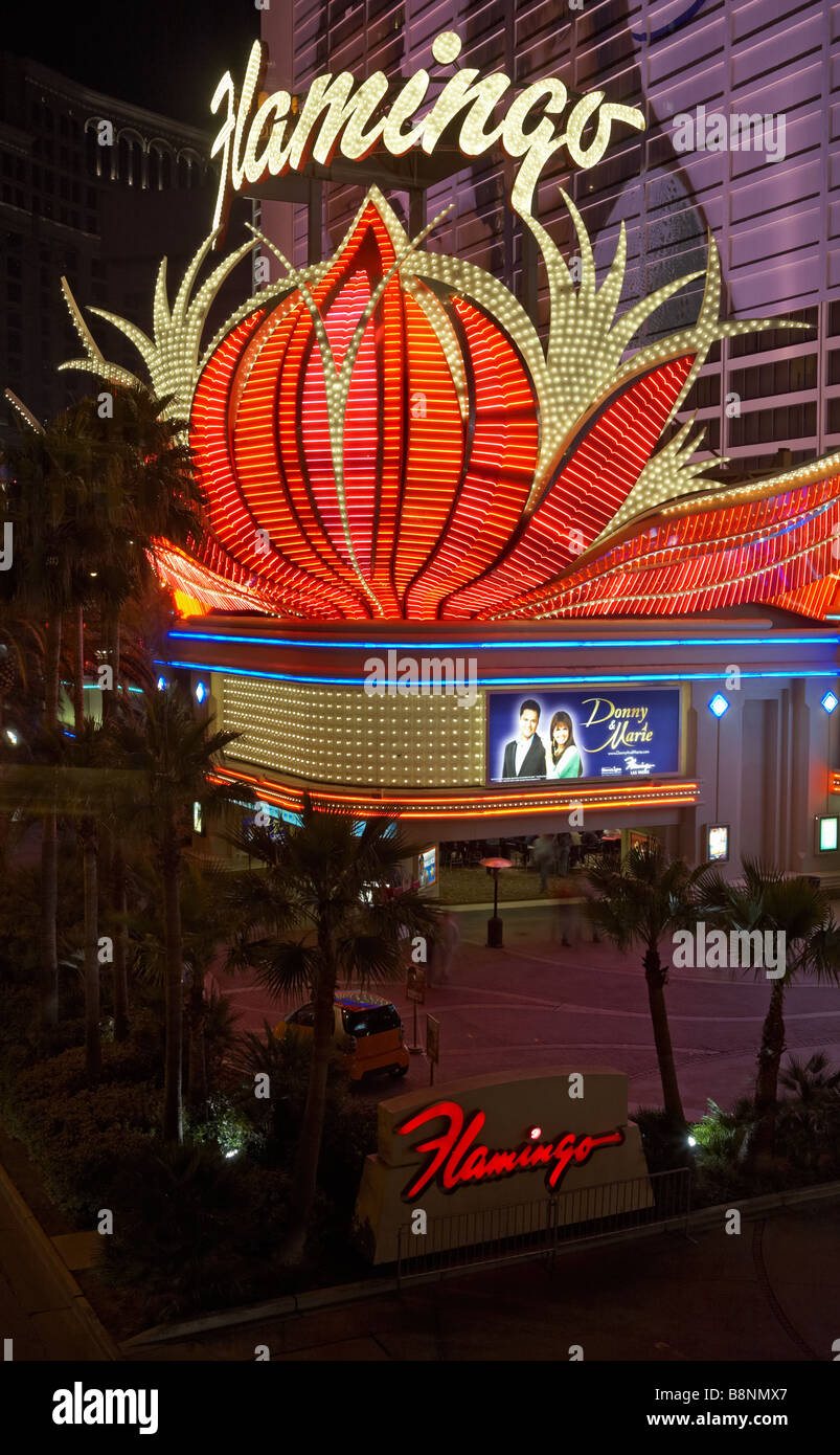 Hotel Flamingo Casino - luces de neón - Escena nocturna - Las Vegas Foto de stock