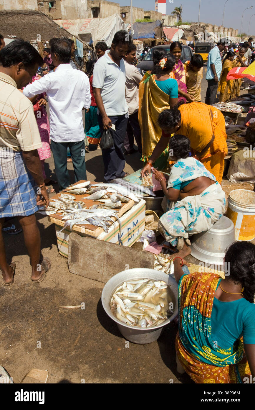 La India Tamil Nadu Chennai playa mercado de pescado pequeño puesto callejero de venta de marisco recién capturado Foto de stock